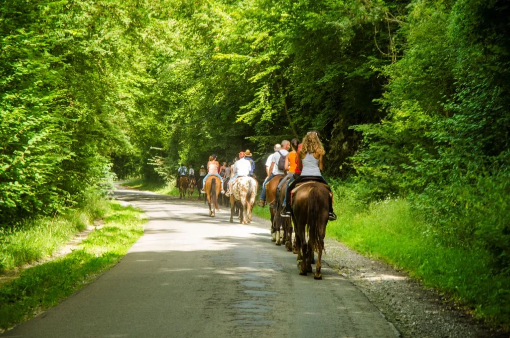 promenade à cheval dans les Ardennes pour illustrer la route d'Artagnan circuit équestre européen passant dans les Ardennes