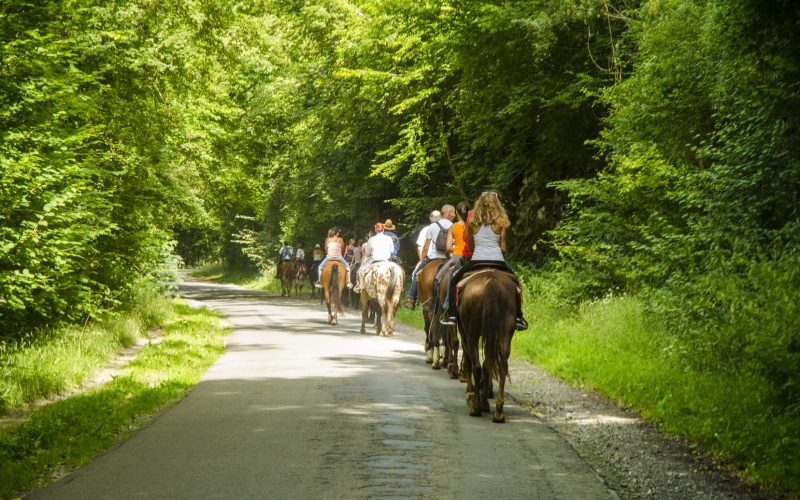 Promenade à cheval autour du château de Vêves