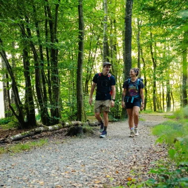 Randonneurs dans les Ardennes en forêt le long du lac des Vieilles Forges - Ardenne Tour