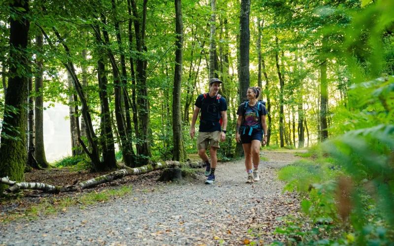 Randonneurs dans les Ardennes en forêt le long du lac des Vieilles Forges - Ardenne Tour